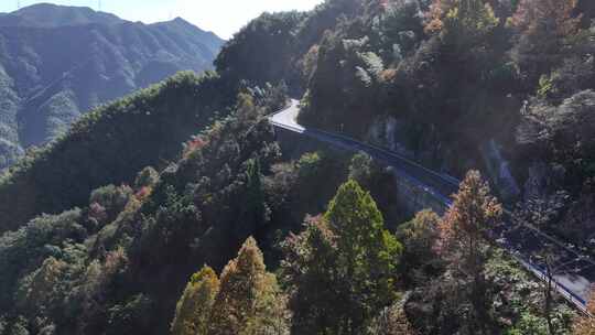 四明山 盘山公路 秋色 秋天 余姚