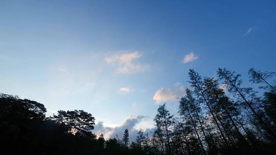 山林傍晚夜幕降临树林天空4k延时素材