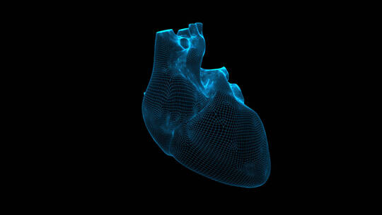 人工智能心脏粒子全息图