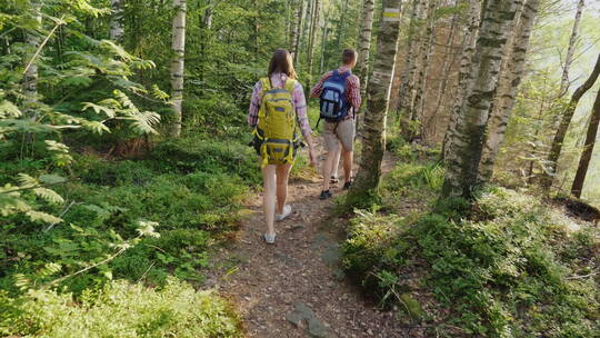 背着背包的年轻游客沿着森林中的小径行走
