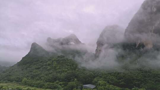 雾气笼罩的茂密山林全景