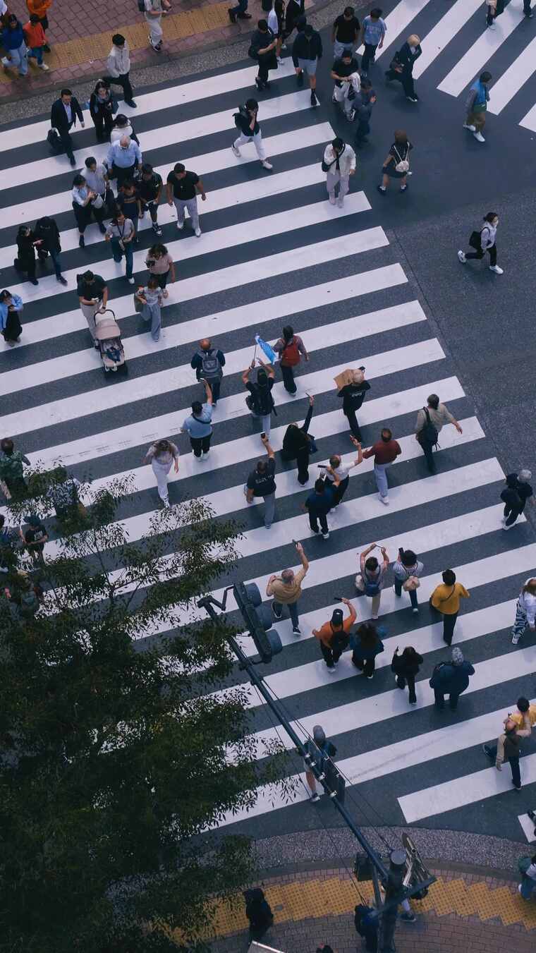 （竖屏无裁切）人流行人过红绿灯