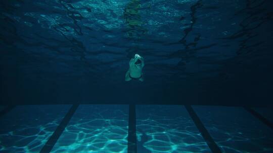 运动员在水下游泳