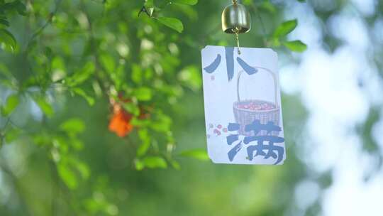 小满节气小清新空镜