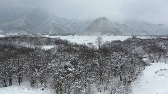 航拍湖北神农架大九湖冬季冰雪风光雪景视频素材模板下载