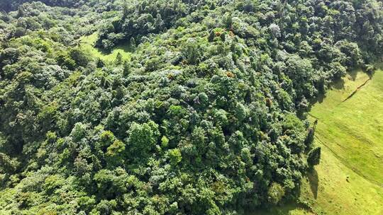 晴天航拍美丽中国喀斯特地貌森林、群山