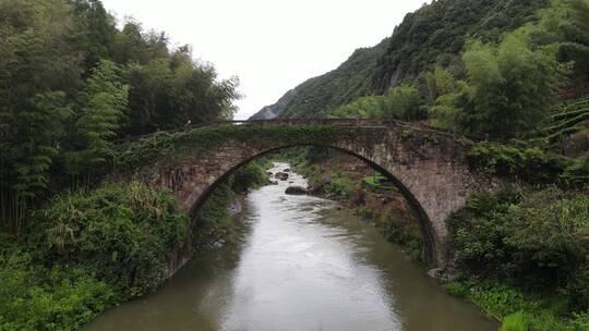 烟雨溪口视频素材模板下载