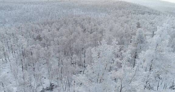 零下40度的低温航拍大兴安岭冰雪雾凇