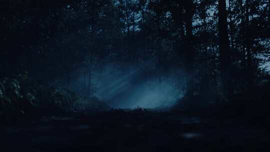月光下的树林昆虫溪流