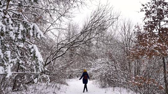 女人走在冬天的雪林里