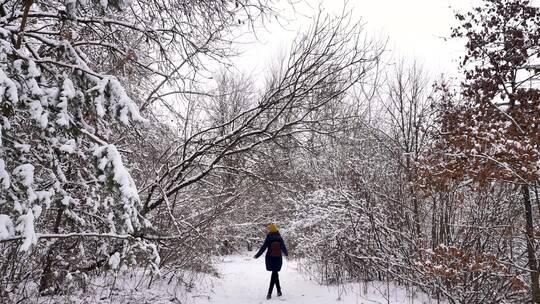 女人走在冬天的雪林里视频素材模板下载