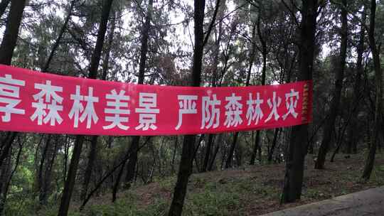 爱护环境标语 林长制 绿水青山 (3)