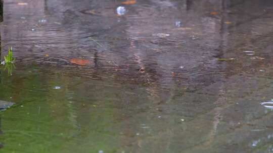 城市马路道路下暴雨倾盆大雨下雨天雨水雨滴