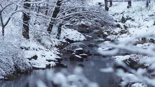 冬天雪景树林雾凇