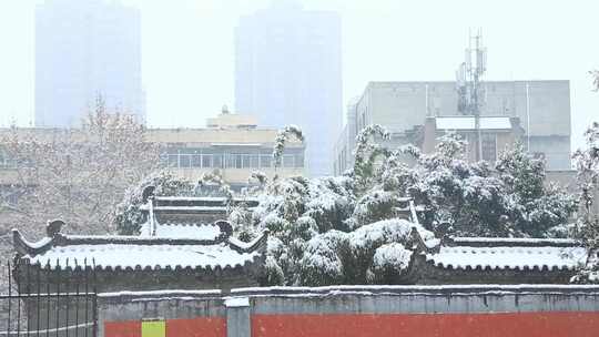 大雪 冬至 大寒　西安古建筑罔极寺