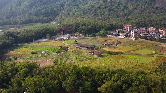 中山南区田野风光