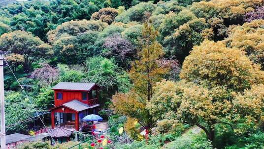 治愈风景，一定能解压，旅行，治愈系风景