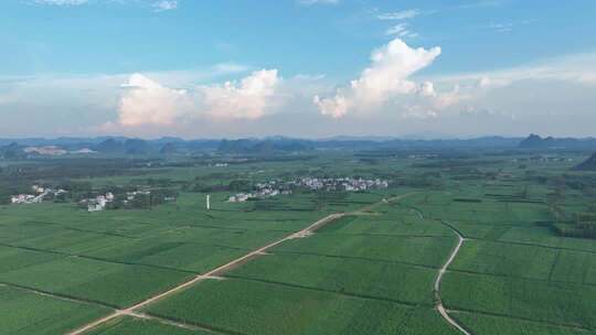 航拍乡村田野全景素材
