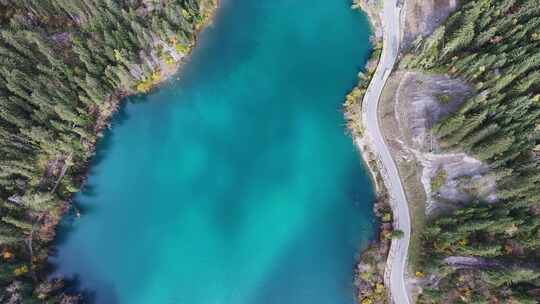 航拍九寨沟秋景彩林川西秋天原始森林五花海