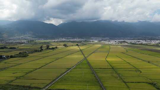 大理稻田航拍风光