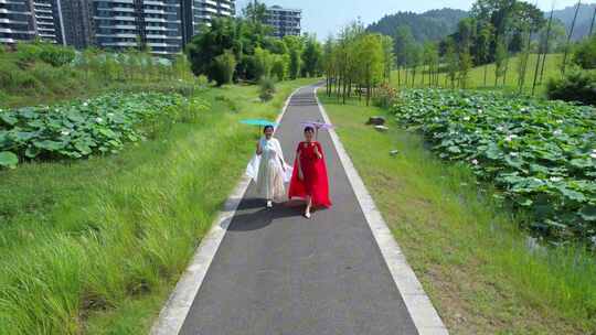 航拍湖北宜昌点军湿地公园荷塘步道美女