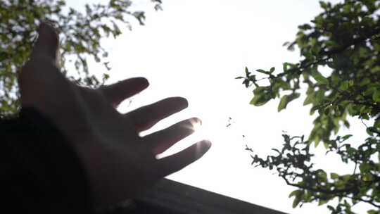 手与阳光