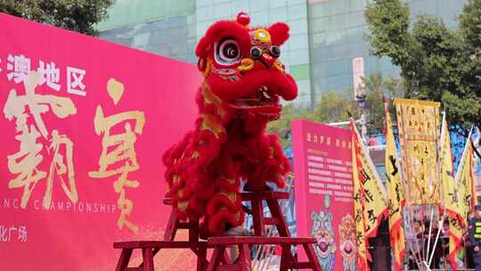 舞狮醒狮传统节日表演