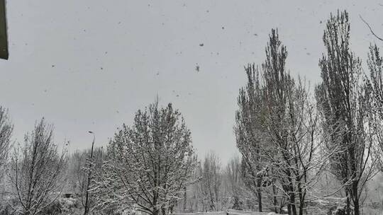 大雪雪景