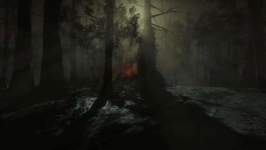 森林中的恐怖场景，神秘的树木，雾中的恐怖