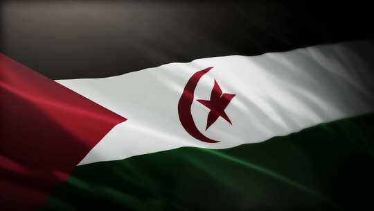 西撒哈拉国旗挥舞-4K视频素材模板下载