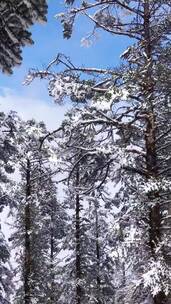 雪山雪景