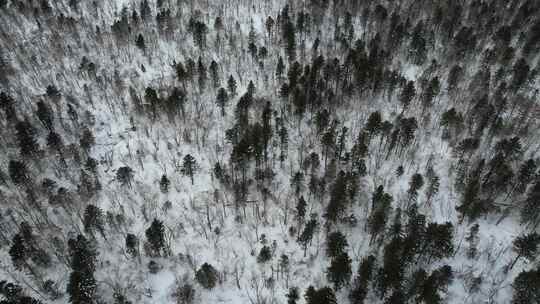 吉林长白山雪岭森林冬季自然风光航拍