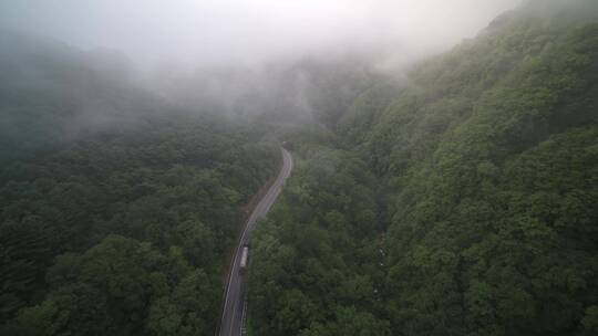 吉林通化长白山人参森林道路航拍视频素材模板下载