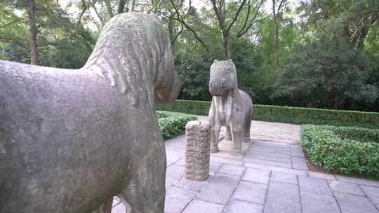南京明孝陵景区石象路石马雕塑慢镜头空镜