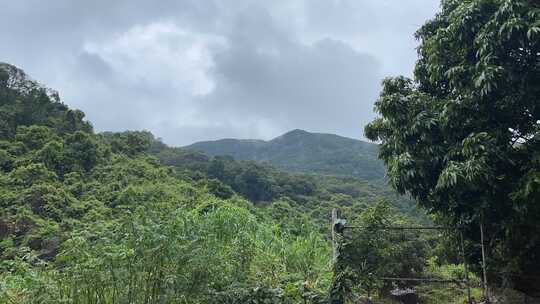 多云天气下的山林景色