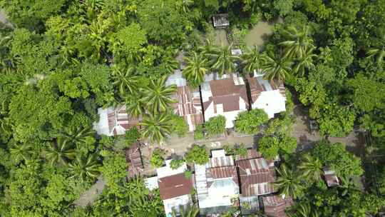 孟加拉国被绿树环绕的乡村生锈铁皮屋顶上的鸟瞰图。踏板