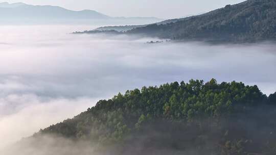 景迈山云海日出