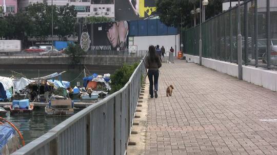 街道上遛狗的年轻女人