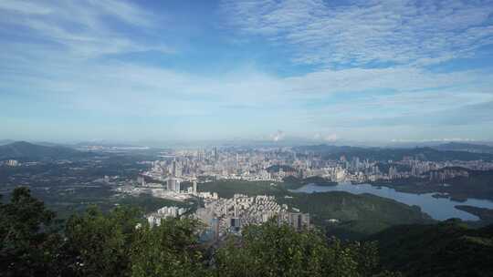 深圳城市全景