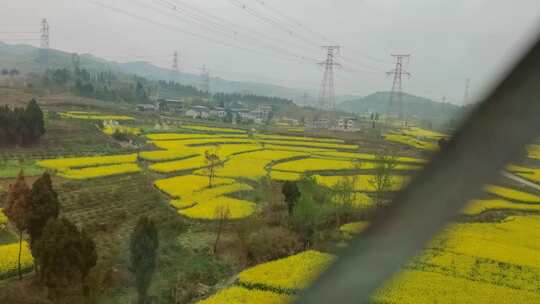 在火车上看窗外田野油菜花与村庄远景