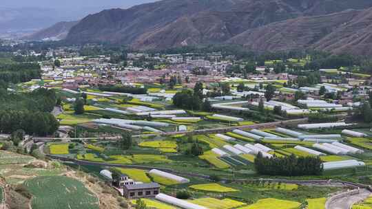 乡村振兴 乡村田野 乡村航拍 油菜花