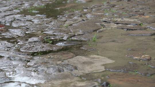 下雨天石子路面雨滴石头路雨水积水