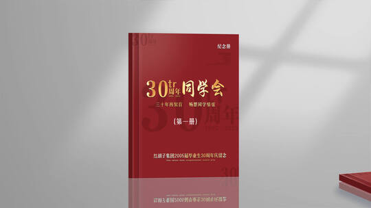 相册画册翻书高清AE视频素材下载