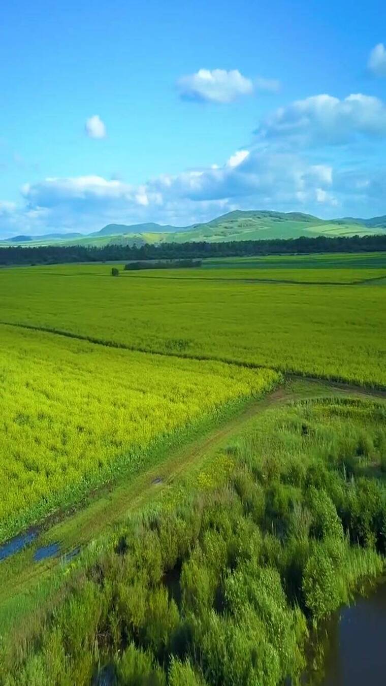 视觉震撼，感受大自然的气息，治愈系风景