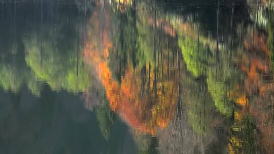 秋色在湖光山林中的映照视频素材模板下载