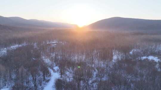 曙光照耀冻雾迷漫的林海雪原