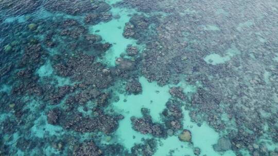 海洋底下的暗礁视频素材模板下载