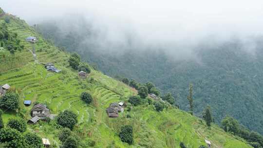 水稻梯田，山，树，房子