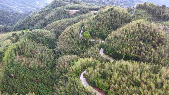 航拍乐昌五山竹海公园