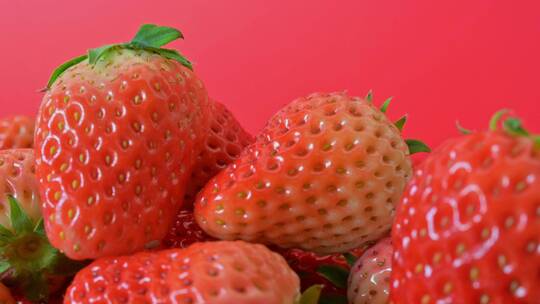 4K草莓水果草莓种植成熟饮料果园采摘草莓